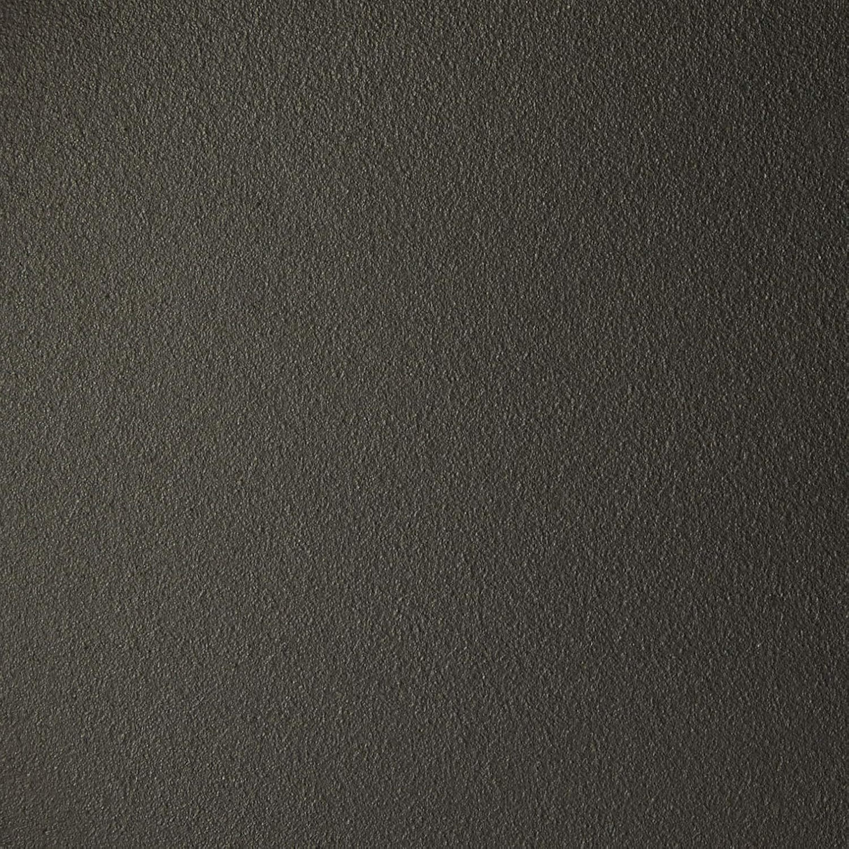 Pyrolux Pyrocast Skillet Fry Pan 30cm Cast Iron Black