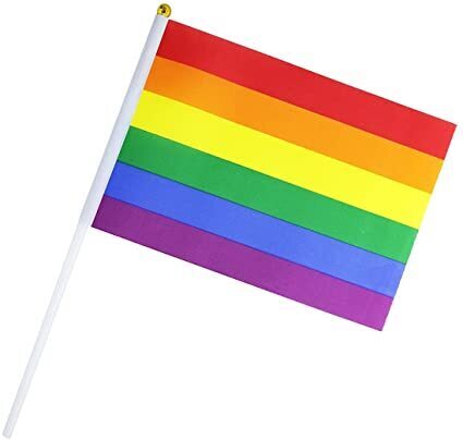 Rainbow LGBT Pride Hand Held Mini Stick Flag - Gay Pride/Mardi Gras Party