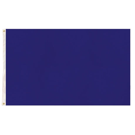 Plain Flag for School Colours Sports Day & Other Uses - Blue (90x150cm)