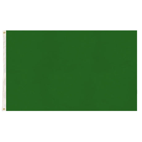 Plain Flag for School Colours Sports Day & Other Uses - Green (90x150cm)