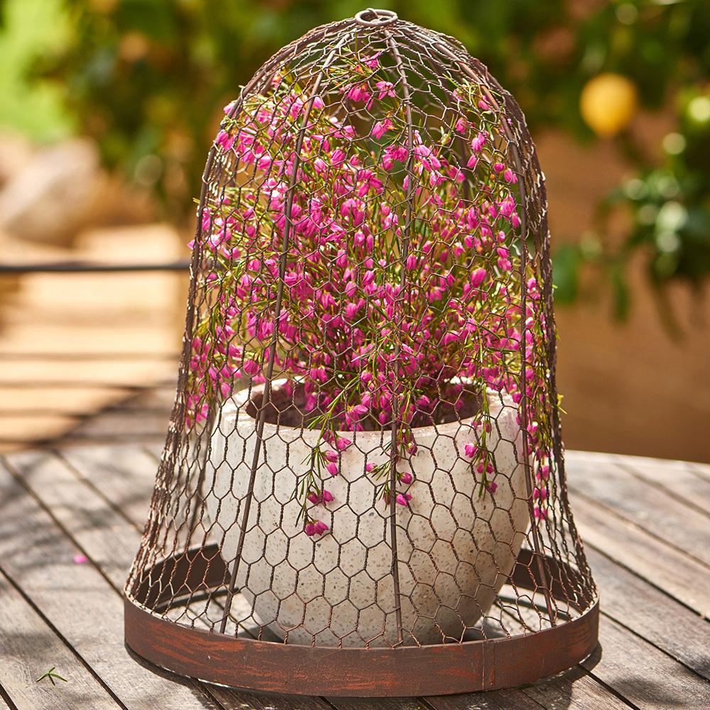 Round Metal 44cm Cloche Outdoor Garden Plant Protector - Brown