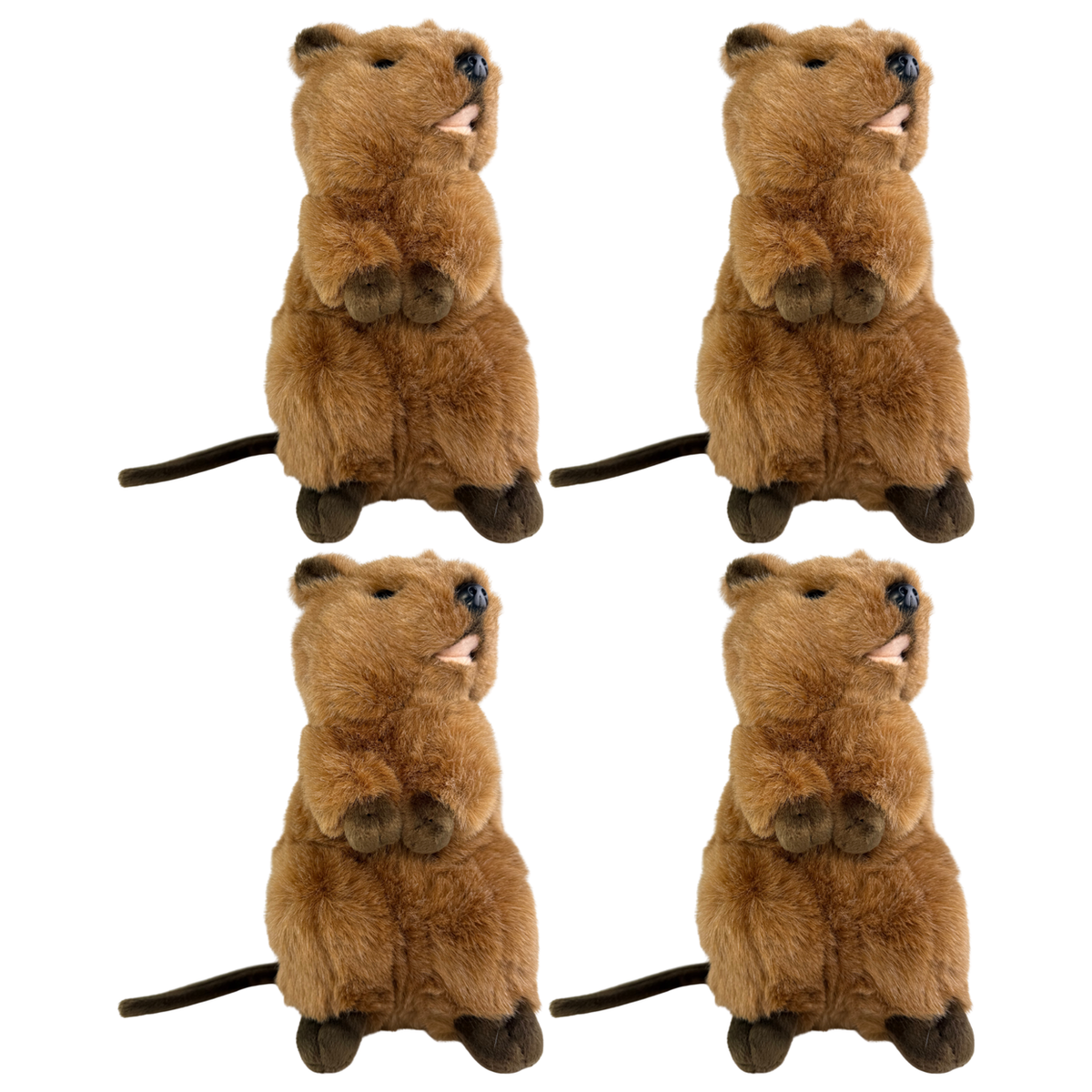 4x Bocchetta Roger 28cm Standing Quokka Plush Toy Bulk Pack (Australian Stuffed Animal Souvenir Gift)