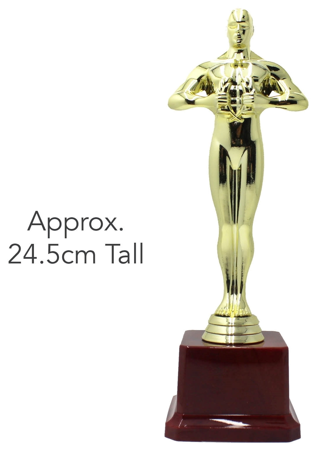 24.5cm Award Trophy - Champions/Winners/Party/Achivement