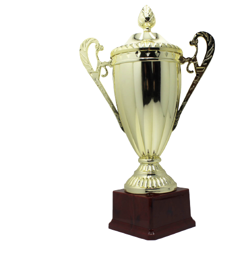 Large Classic Gold Trophy Cup - Novelty Winners Prize (Achievement Award)