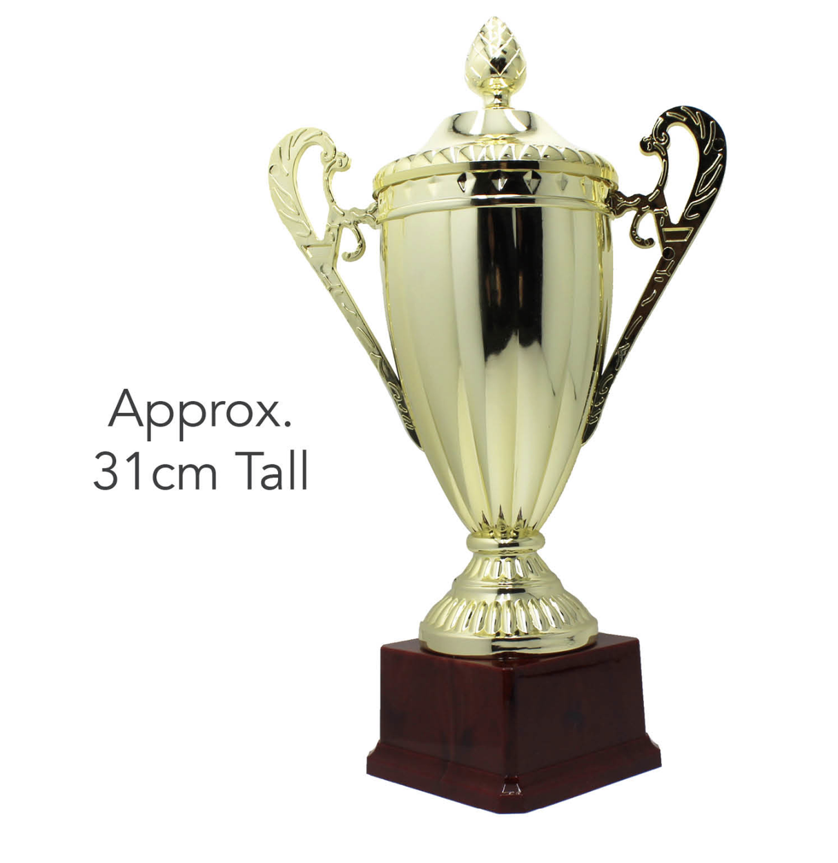 Large Classic Gold Trophy Cup - Novelty Winners Prize (Achievement Award)