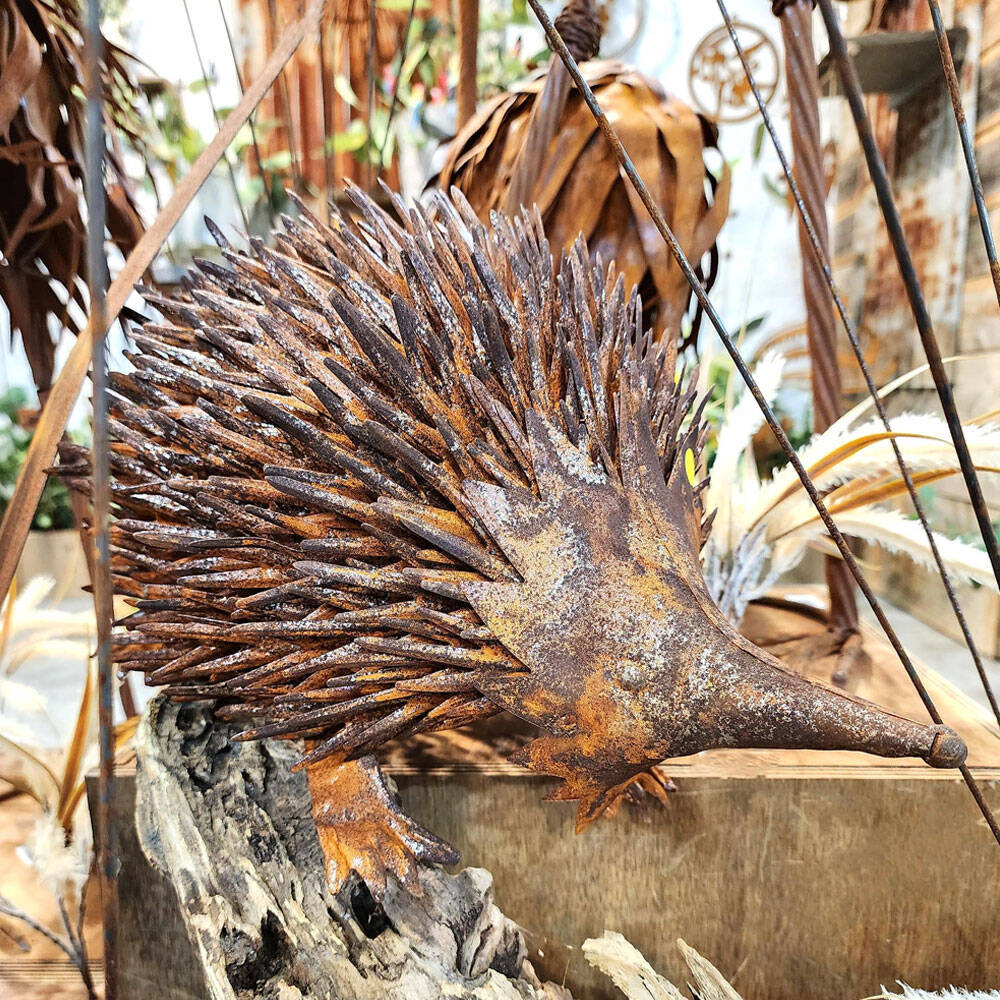 Echidna Rust 43cm Animal Ornament Garden Decor - Large