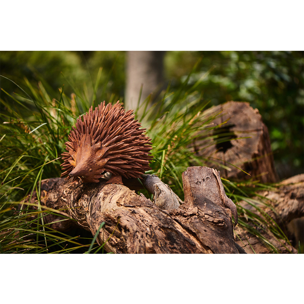 Echidna Rust 43cm Animal Ornament Garden Decor - Large