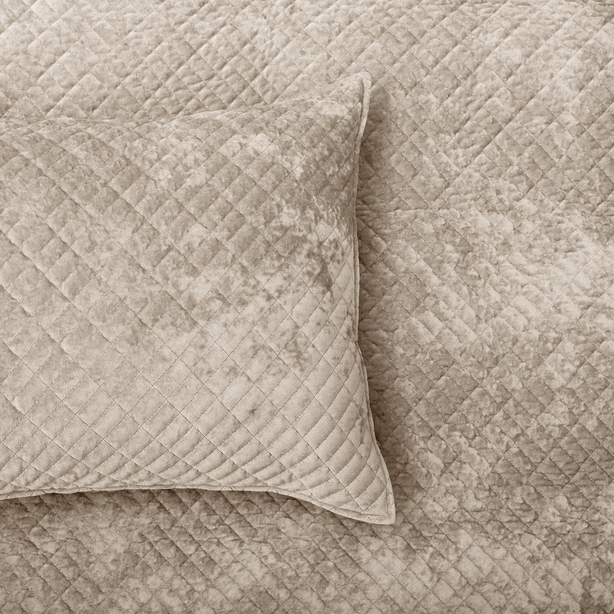 Renee Taylor Archie Cross Stitch Velvet Coverlet Set - Nude (Bedspread with Cotton Reverse)