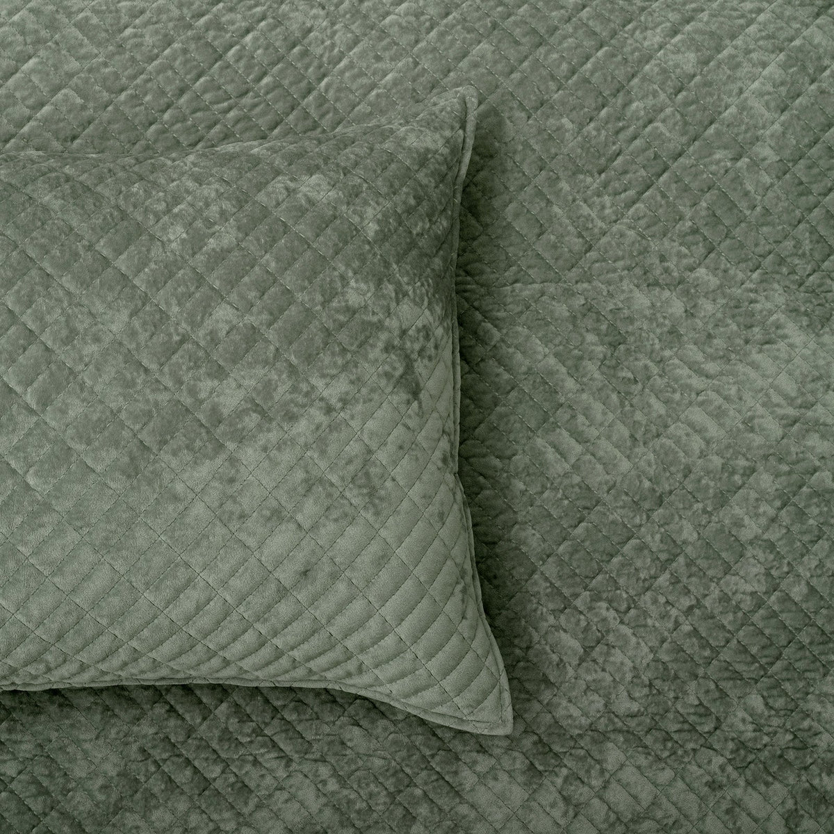 Renee Taylor Archie Cross Stitch Velvet Coverlet Set - Military (Bedspread with Cotton Reverse)