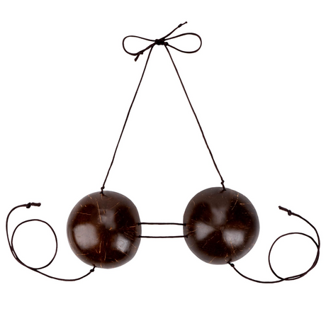 NATURAL COCONUT BRA Ladies Hawaiian Luau Bikini Bra Top Fancy Dress Costume Shell