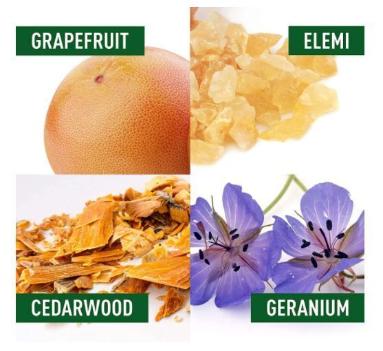 Adidas 50ml Mens Fragrance Natural Spray CHRG Charge Cologne