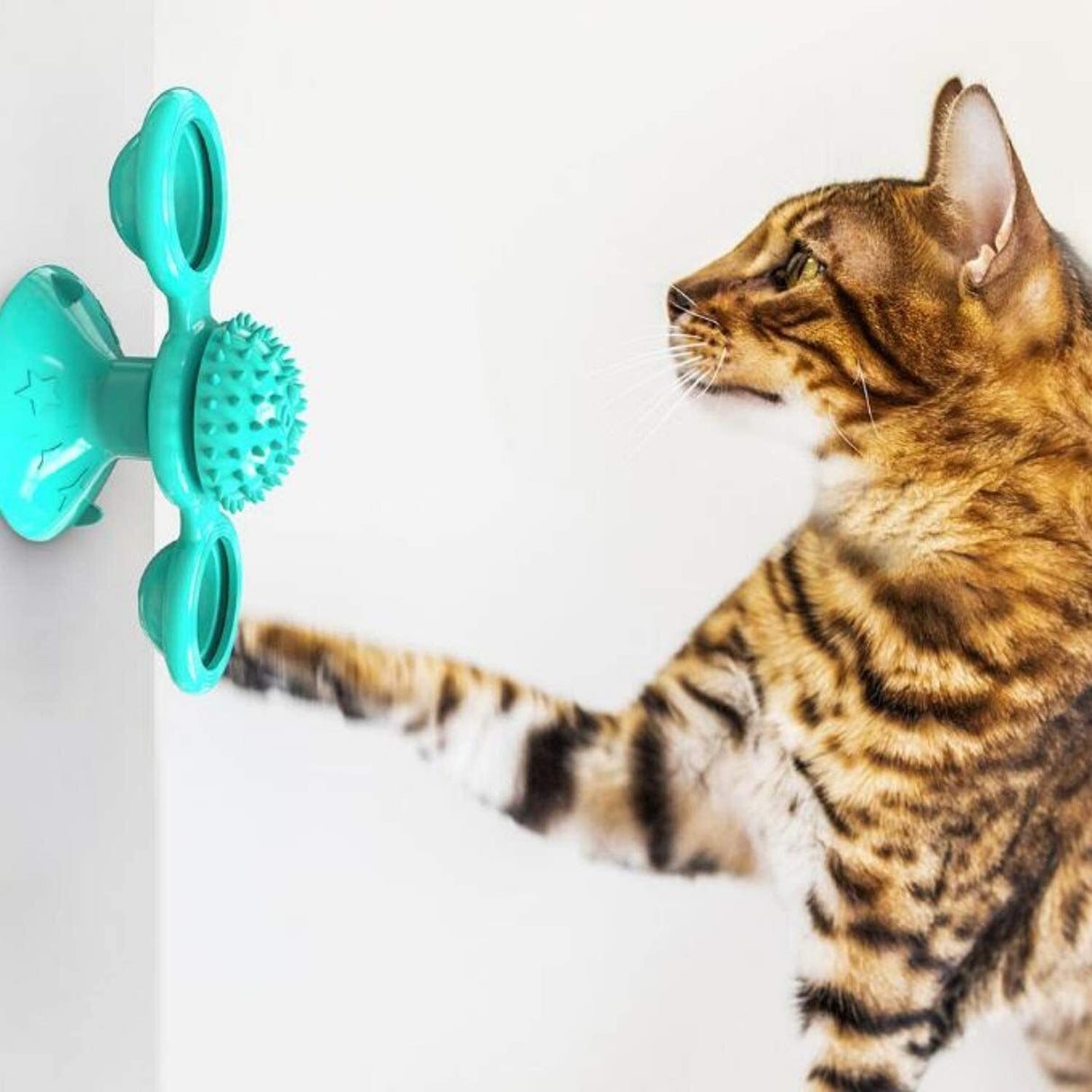 Cat Windmill Toy w/ 2-Compartment Spinning Interactive Suction Cup