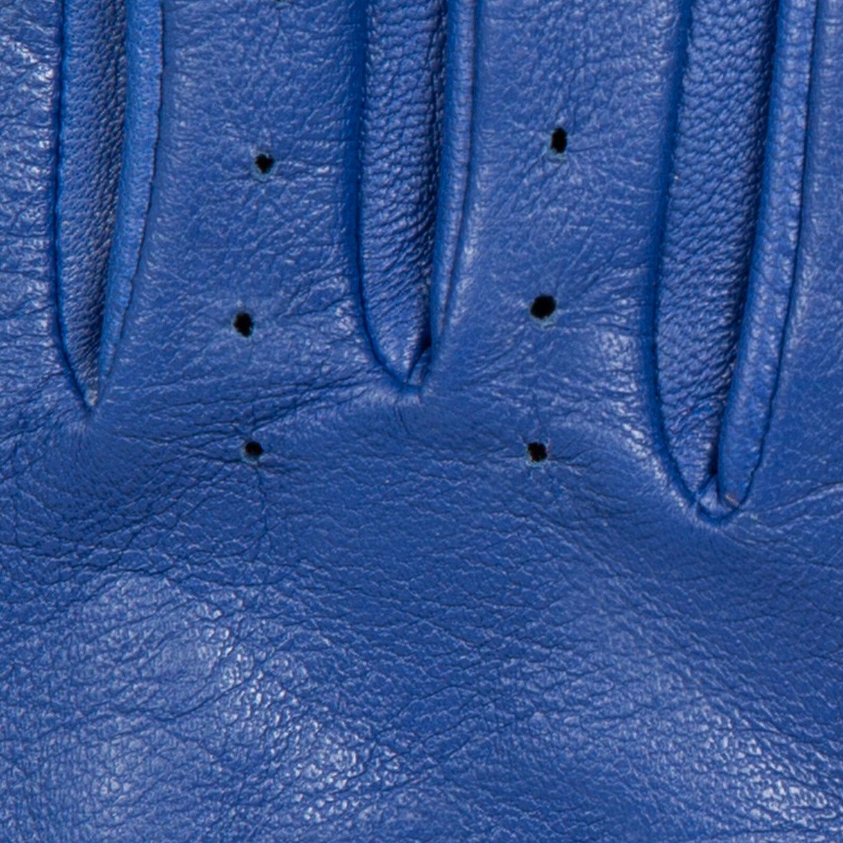 Dents Womens Leather Driving Gloves in Marine Blue