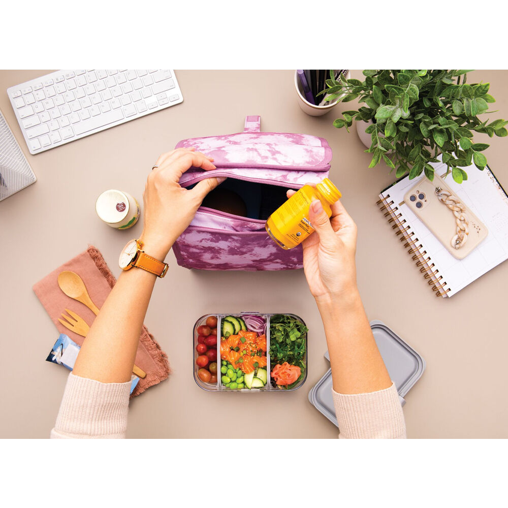 Packit Freezable Insulated Lunch Bag Container in Mulberry