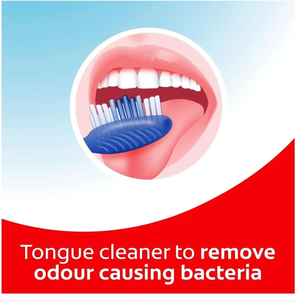 12x Colgate Extra Clean Toothbrush Medium Bulk Pack (12 Packs of 1)