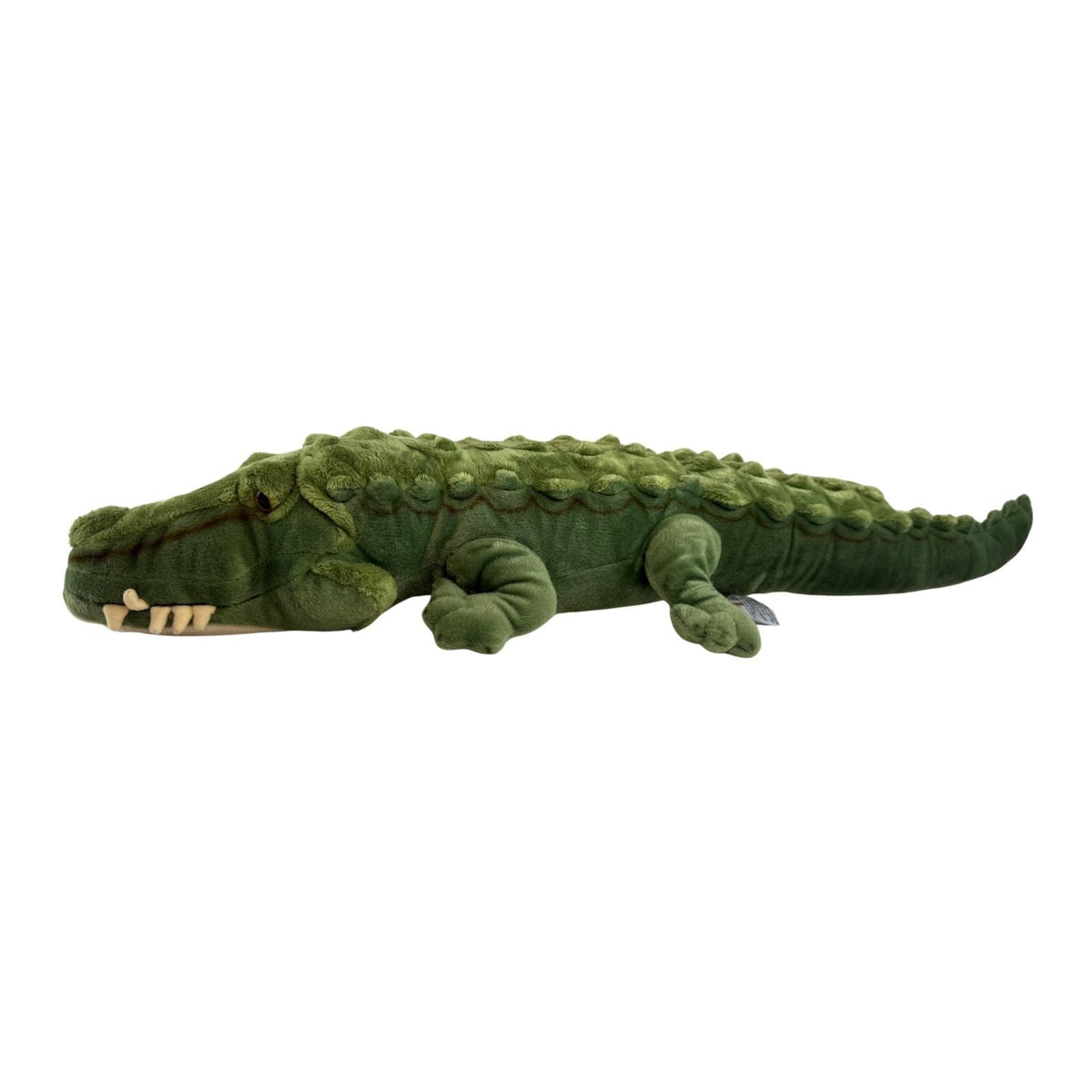 Bocchetta Agro 80cm Crocodile Plush Toy - Green (Australian Stuffed Animal Souvenir Gift)