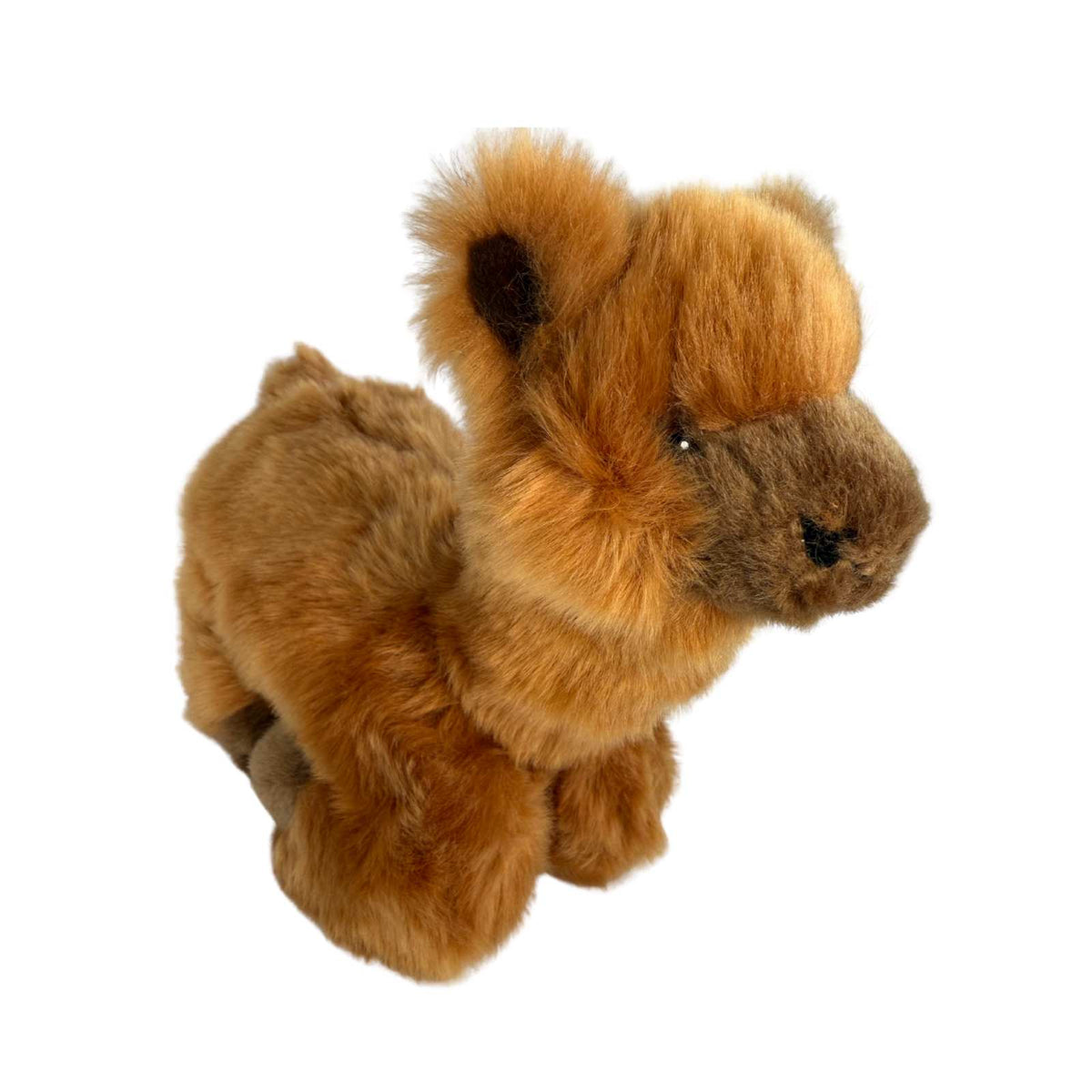 Bocchetta Alcapone 25cm Lying Alpaca Plush Toy - Brown (Realistic Stuffed Animal Farm Gift)