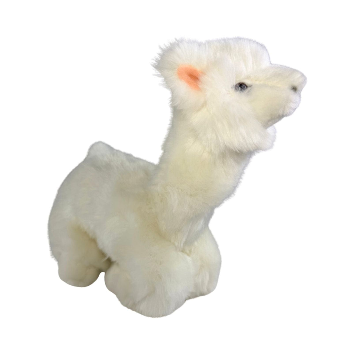 Bocchetta Alfredo 25cm Lying Alpaca Plush Toy - White (Realistic Stuffed Animal Farm Gift)