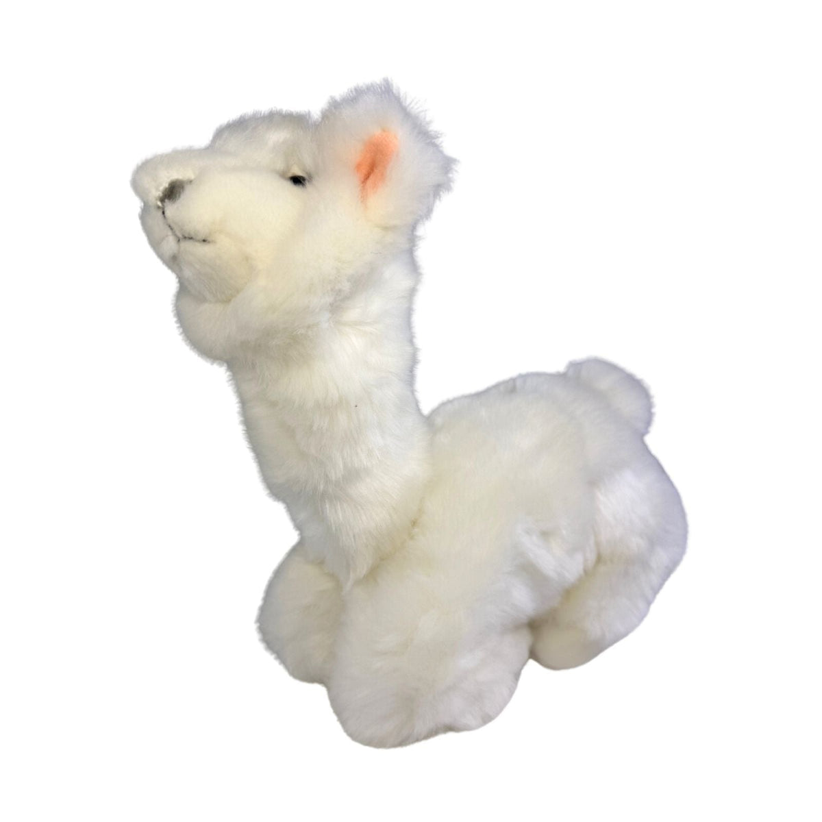 Bocchetta Alfredo 25cm Lying Alpaca Plush Toy - White (Realistic Stuffed Animal Farm Gift)