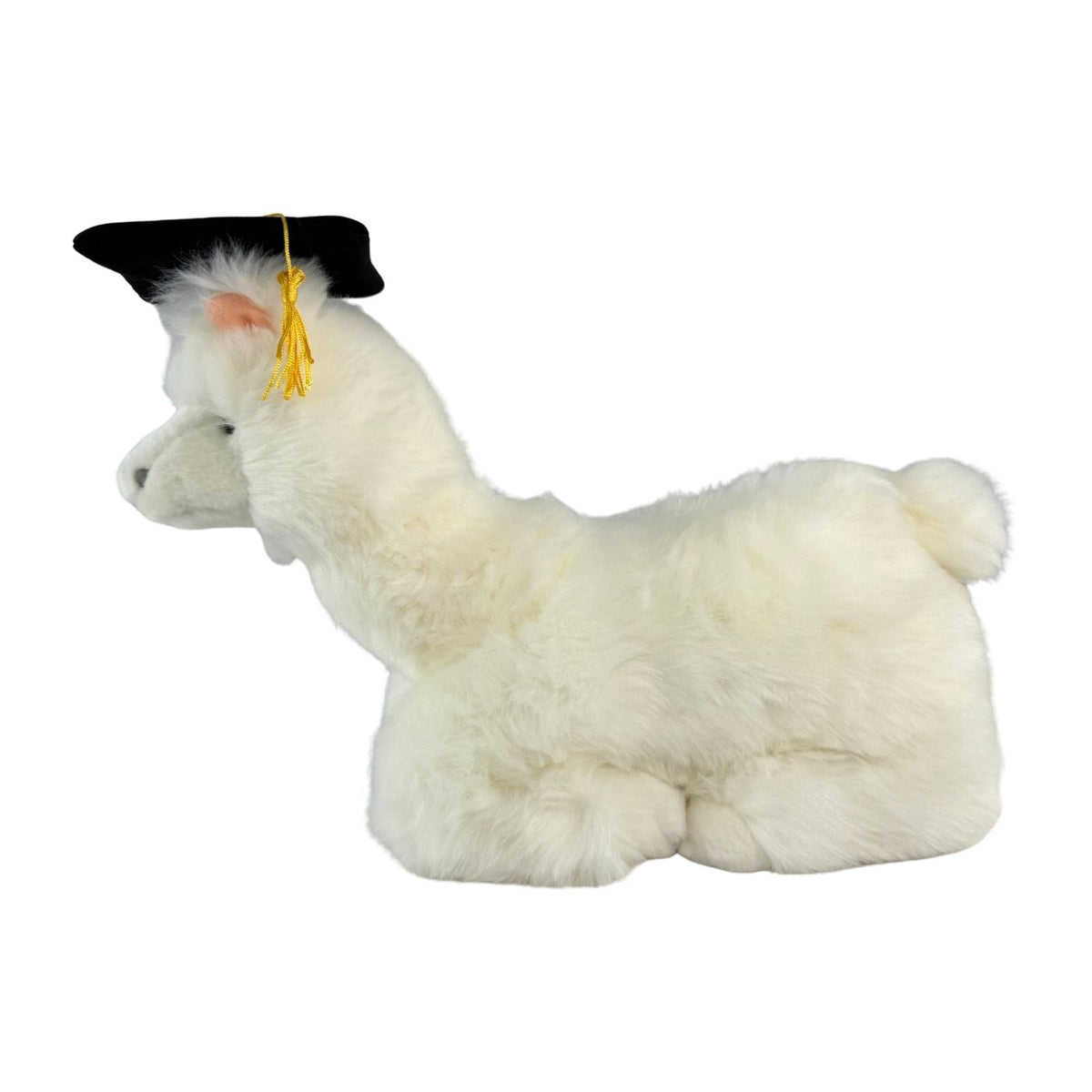 Bocchetta Alfredo 25cm Graduation Alpaca Plush Toy - White (Stuffed Animal Grad Gift)
