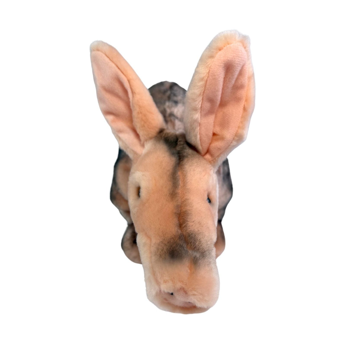 Bocchetta Anthony 33cm Standing Aardvark Plush Toy (Realistic Stuffed Animal Wildlife Gift)