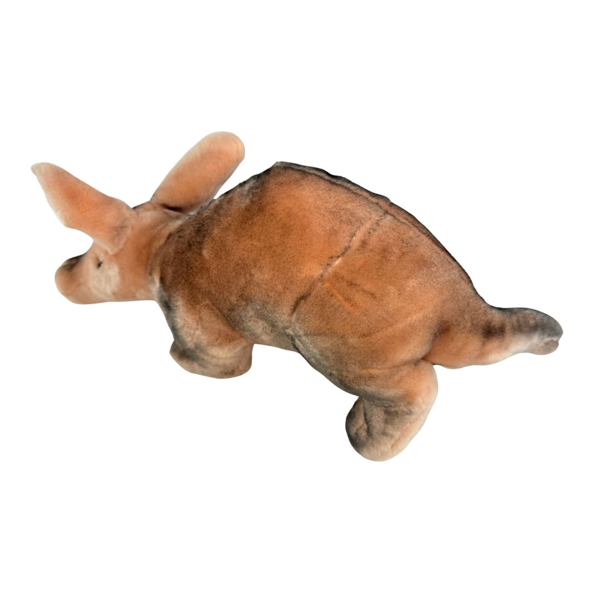 Bocchetta Anthony 33cm Standing Aardvark Plush Toy (Realistic Stuffed Animal Wildlife Gift)