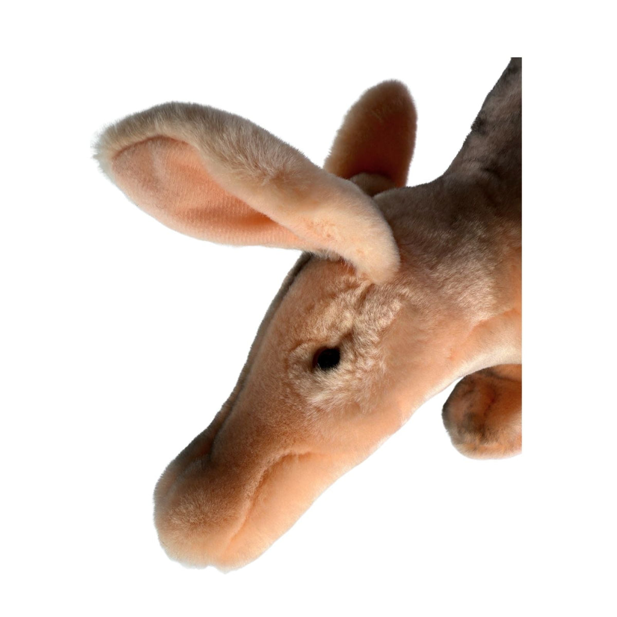 Bocchetta Anthony 33cm Standing Aardvark Plush Toy (Realistic Stuffed Animal Wildlife Gift)