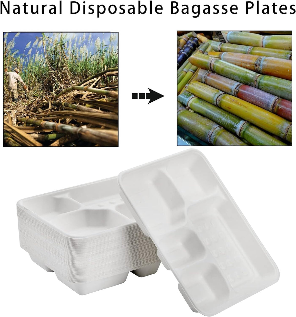 240pcs Sugarcane Bagasse 5-Compartment Lunch Paper Tray Plates 28x22cm Bulk