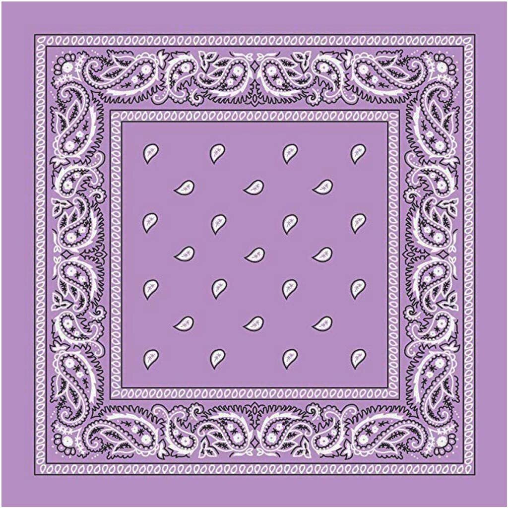 Lilac Paisley Bandana - 100% Cotton Head Wrap/Durag/Scarf/Mask