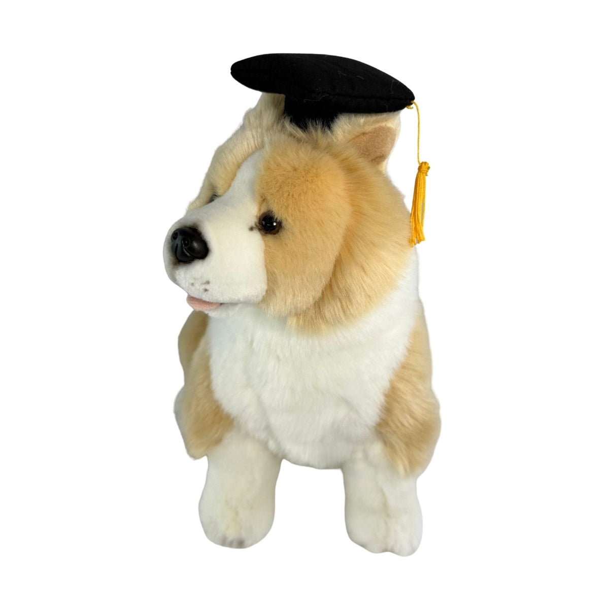 Bocchetta Bailey 23cm Graduation Border Collie Plush Toy (Stuffed Animal Dog Grad Gift)
