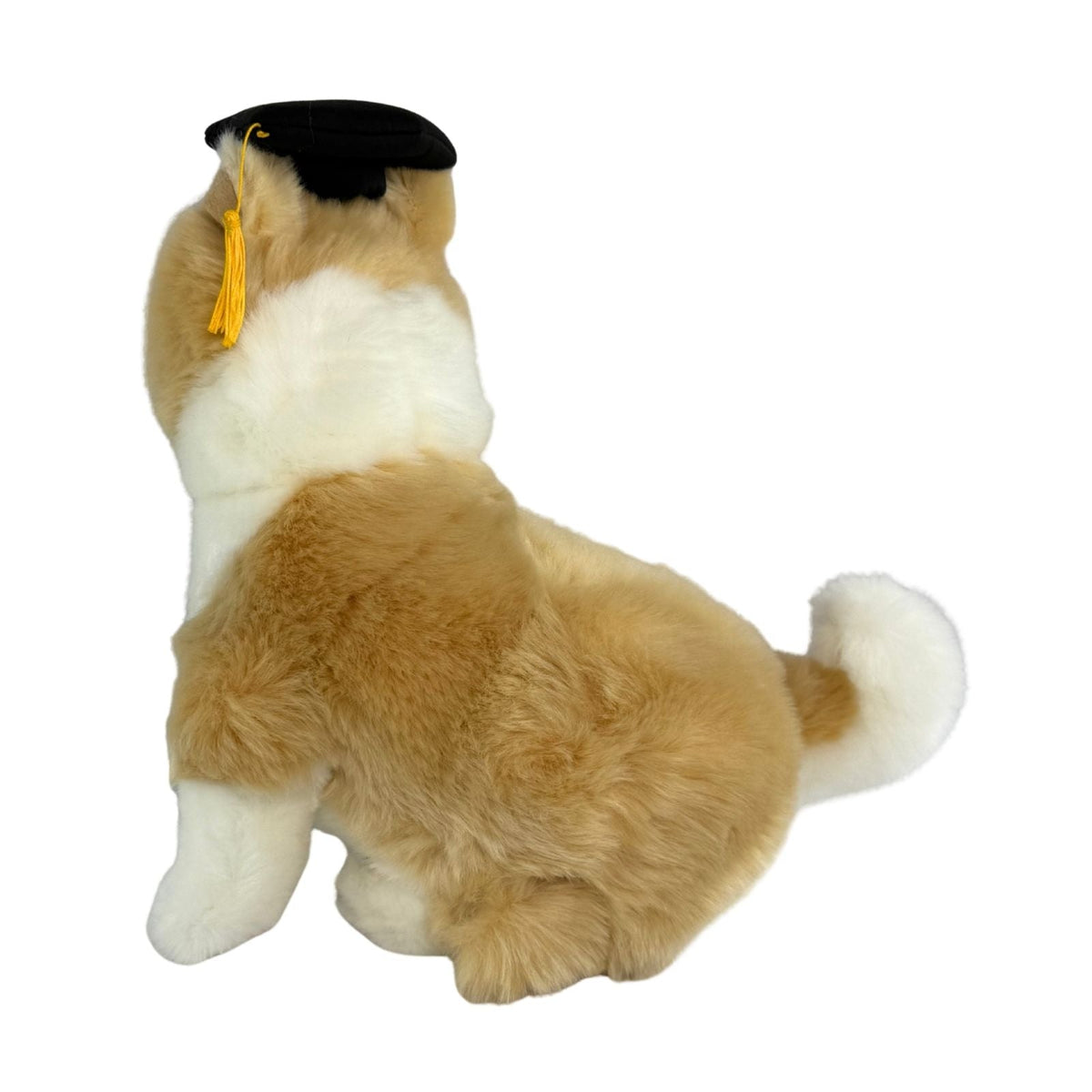 Bocchetta Bailey 23cm Graduation Border Collie Plush Toy (Stuffed Animal Dog Grad Gift)