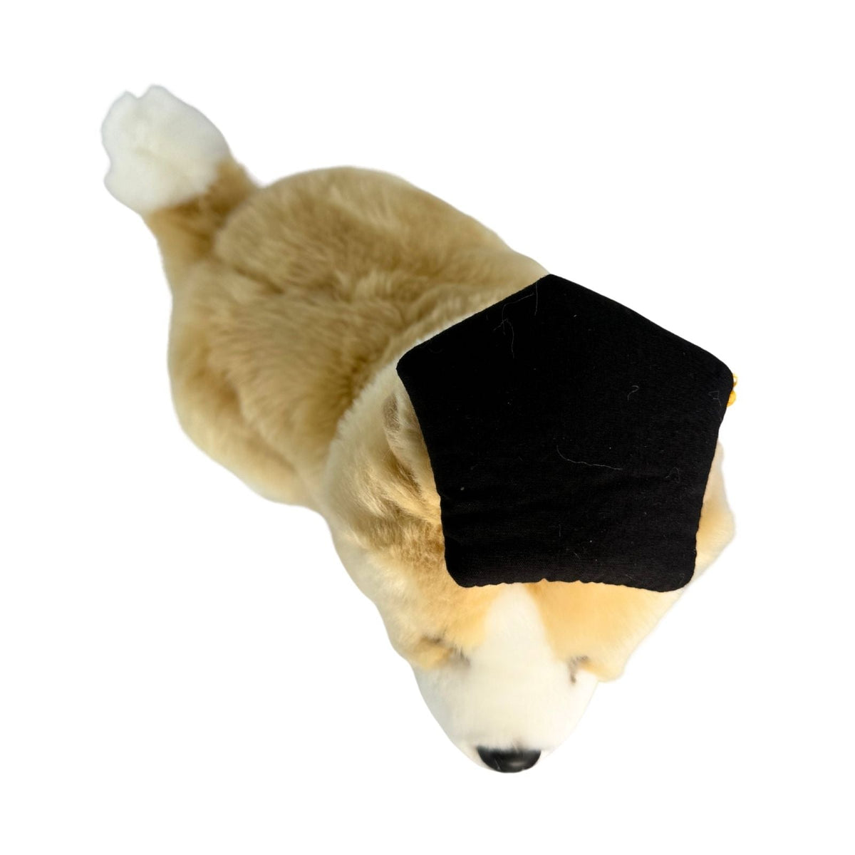 Bocchetta Bailey 23cm Graduation Border Collie Plush Toy (Stuffed Animal Dog Grad Gift)