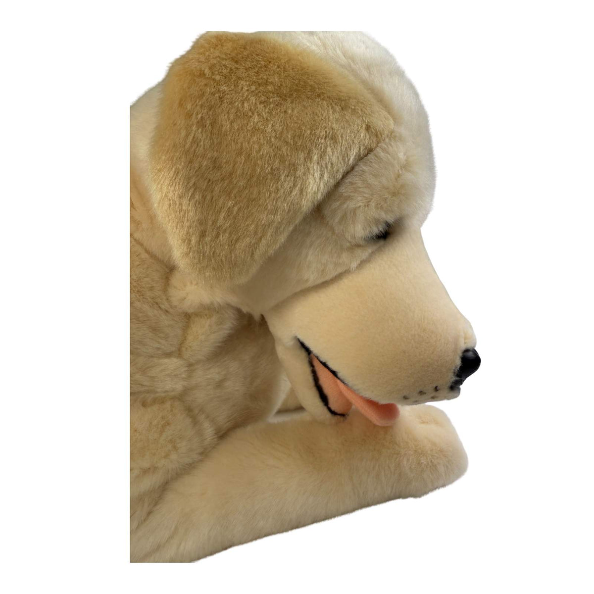Bocchetta Beau 62cm Lying Labrador Plush Toy - Cream (Realistic Stuffed Animal Dog Gift)