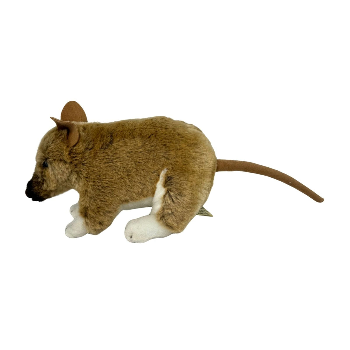 Bocchetta Bert 28cm Bandicoot Plush Toy (Australian Stuffed Animal Souvenir Gift)