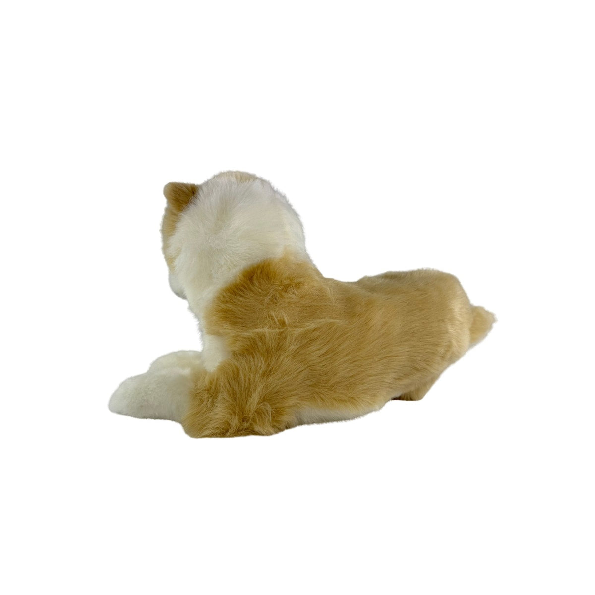 Bocchetta Biscuit 40cm Lying Border Collie Puppy Plush Toy - Tan (Realistic Stuffed Animal Dog Gift)