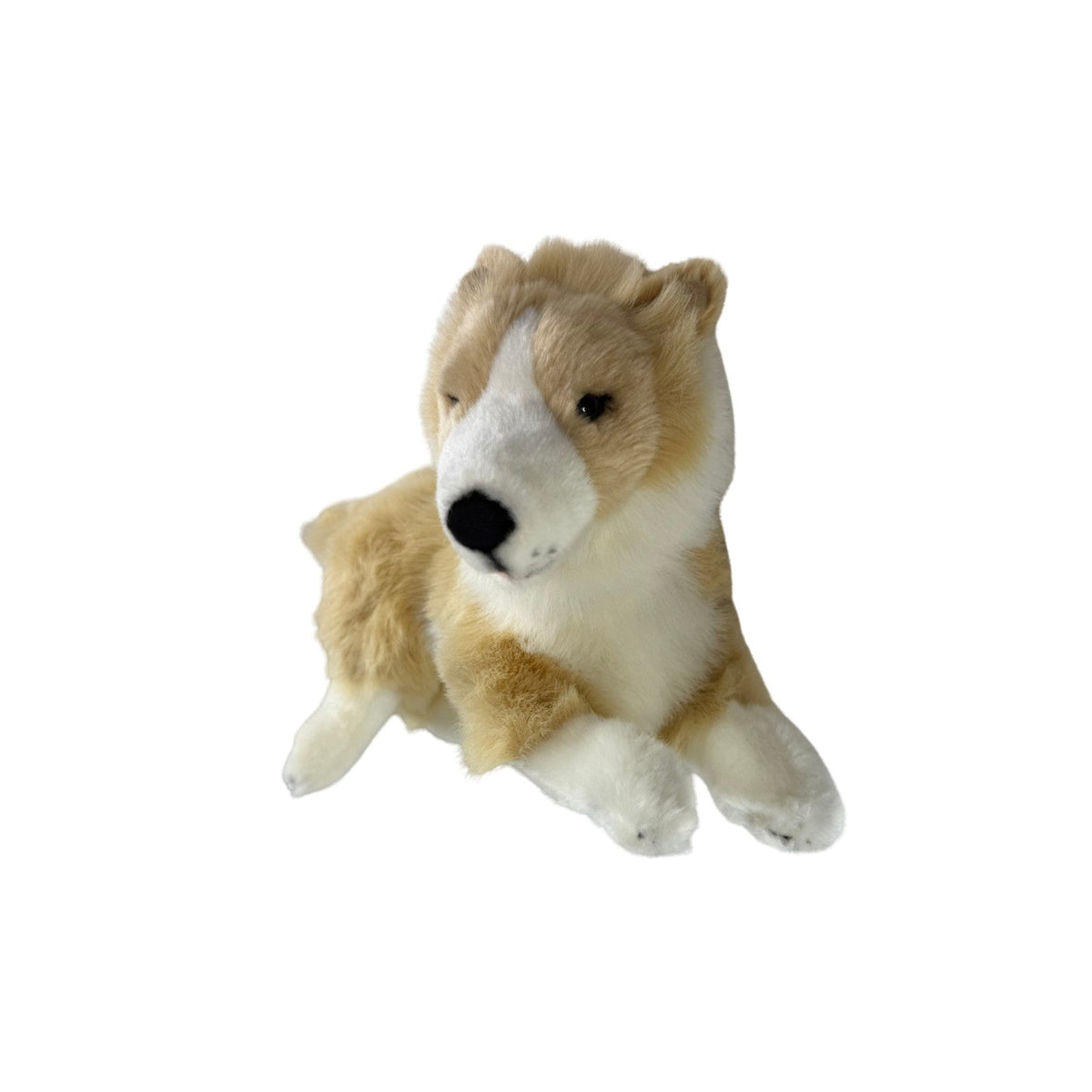 Bocchetta Biscuit 40cm Lying Border Collie Puppy Plush Toy - Tan (Realistic Stuffed Animal Dog Gift)