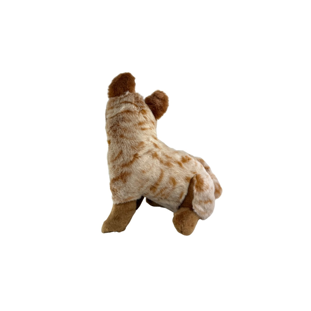 Bocchetta Blaze 22cm Sitting Red Heeler Cattle Dog Plush Toy (Australian Stuffed Animal Gift)