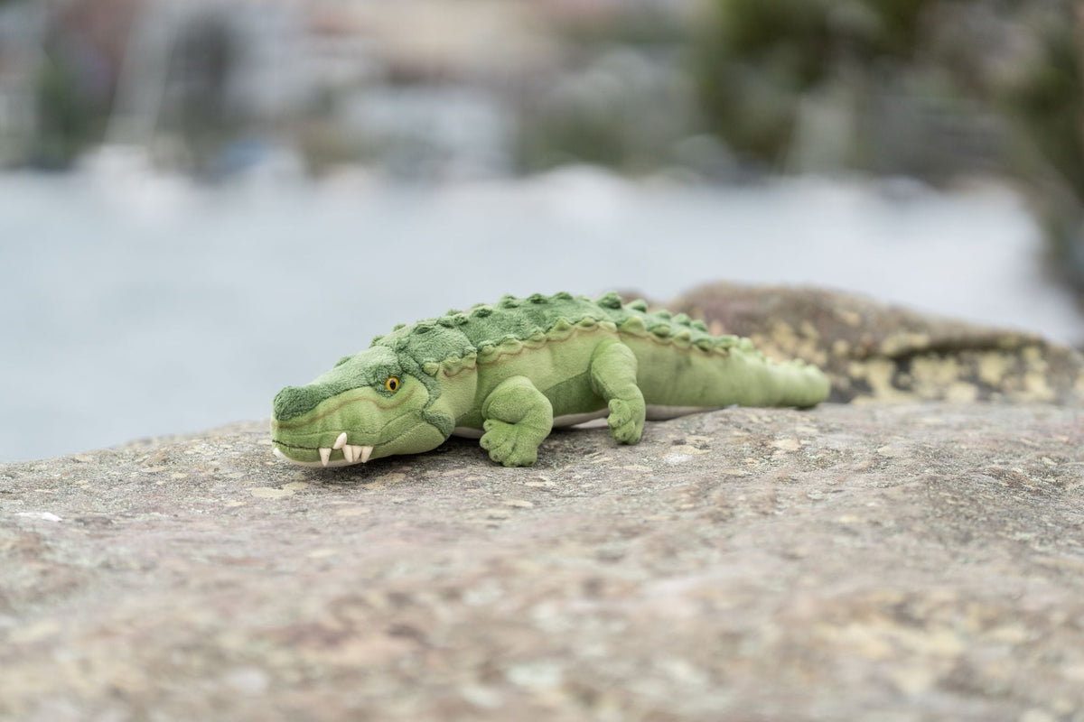 Bocchetta Agro 80cm 2kg Weighted Crocodile Doorstop Plush Toy - Green (Australian Stuffed Animal Souvenir Gift)