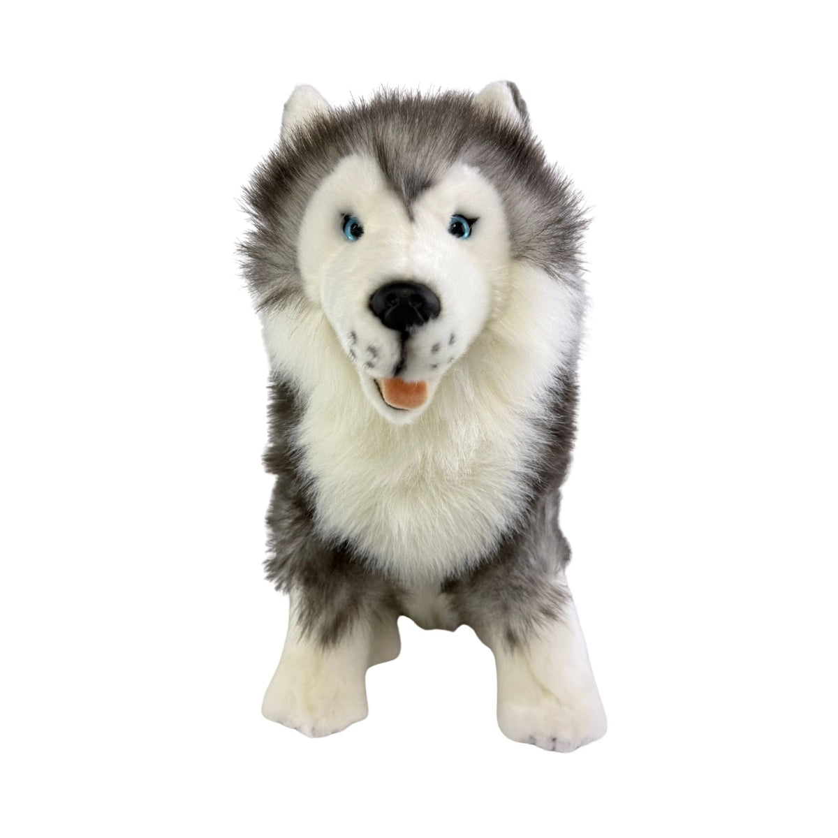 Bocchetta Brock 35cm Sitting Husky Plush Toy (Realistic Stuffed Animal Dog Gift)