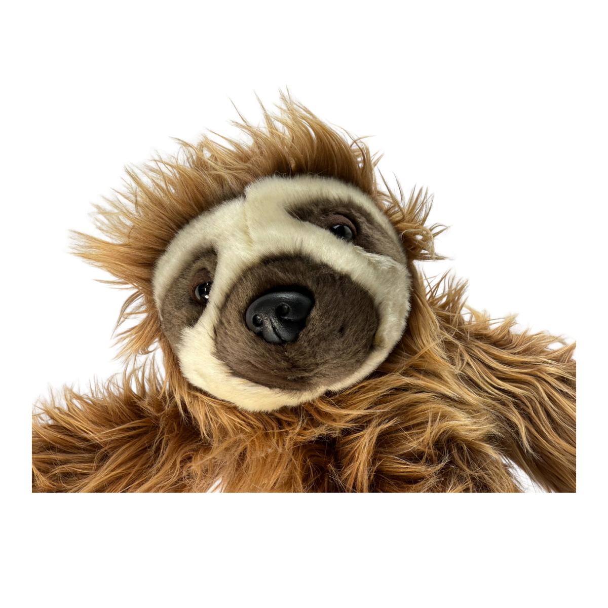 Bocchetta Sloe 57cm Sloth Plush Toy (Realistic Stuffed Animal Wildlife Gift)