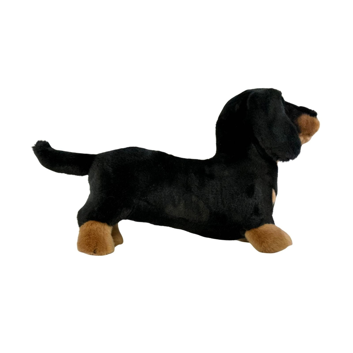 Bocchetta Buddy 36cm Standing Dachshund Plush Toy - Black/Tan (Realistic Stuffed Animal Dog Gift)