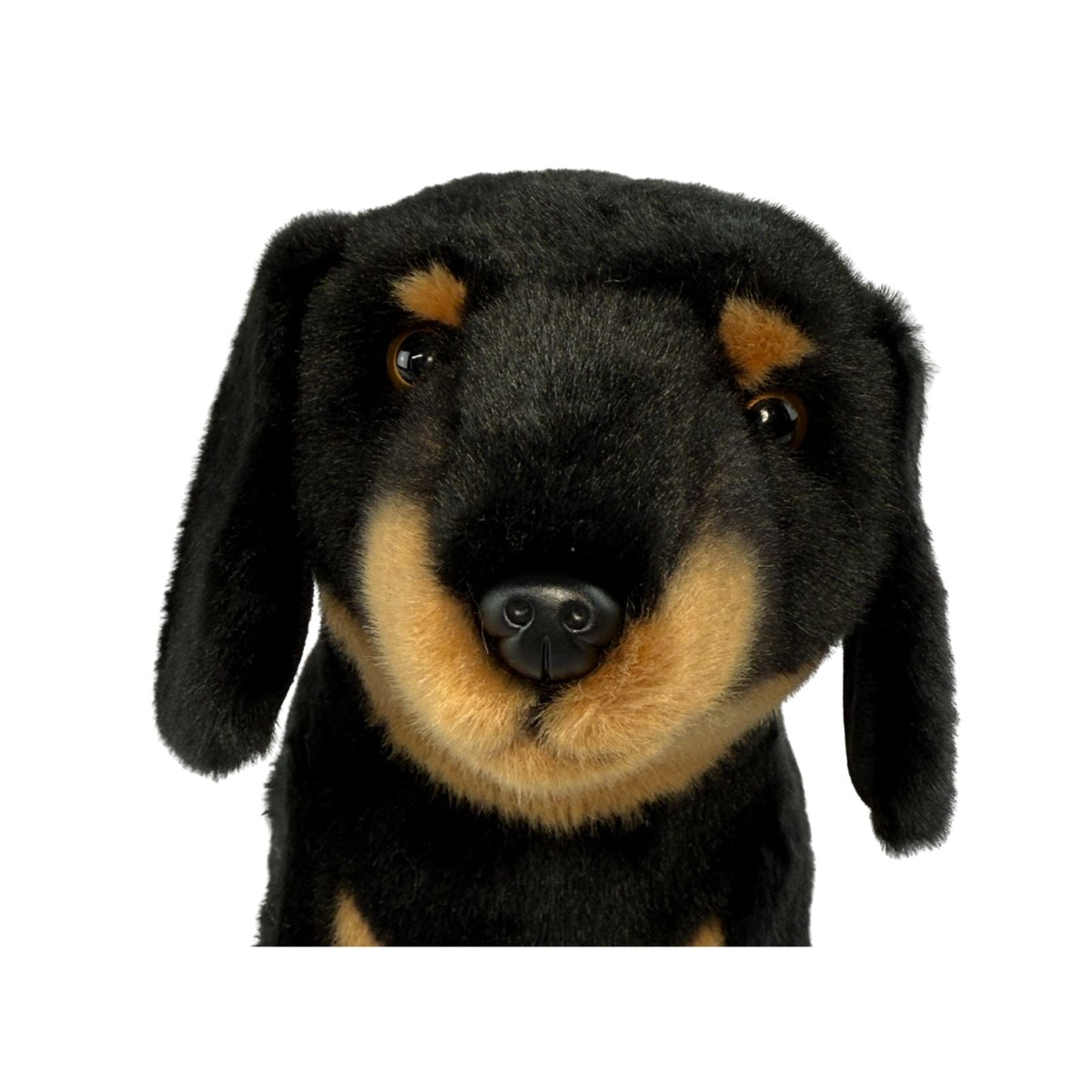 Bocchetta Buddy 36cm Standing Dachshund Plush Toy - Black/Tan (Realistic Stuffed Animal Dog Gift)