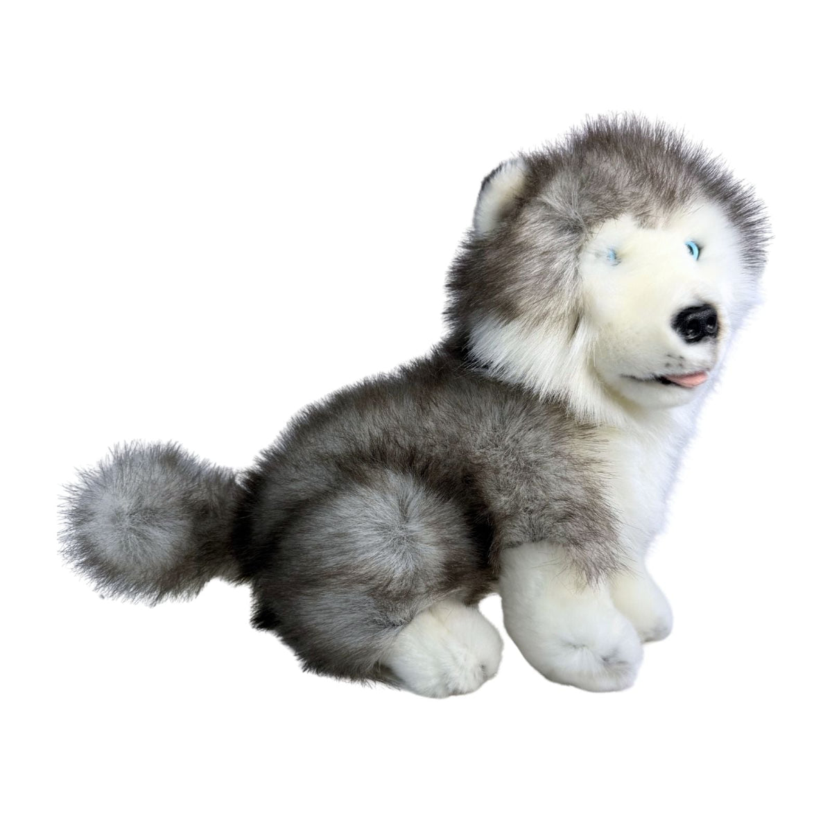 Bocchetta Button 26cm Sitting Husky Puppy Plush Toy (Realistic Stuffed Animal Dog Gift)