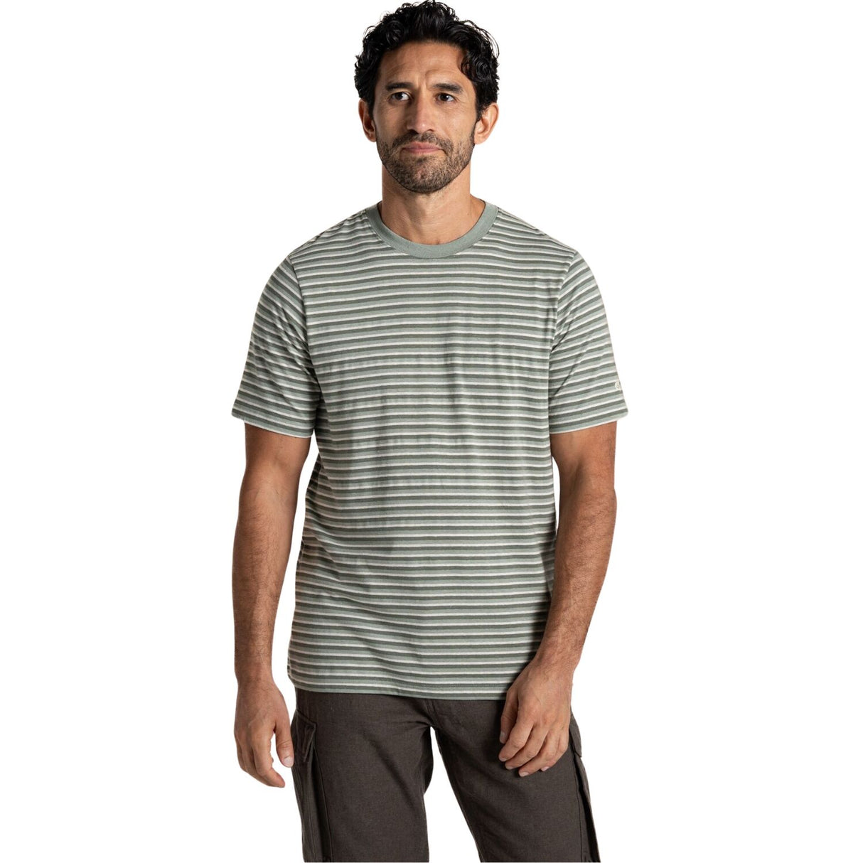Craghoppers Mens Buffon Anti-Insect Organic Cotton Linen Blend Short Sleeve T-Shirt in Lichen Green Stripe