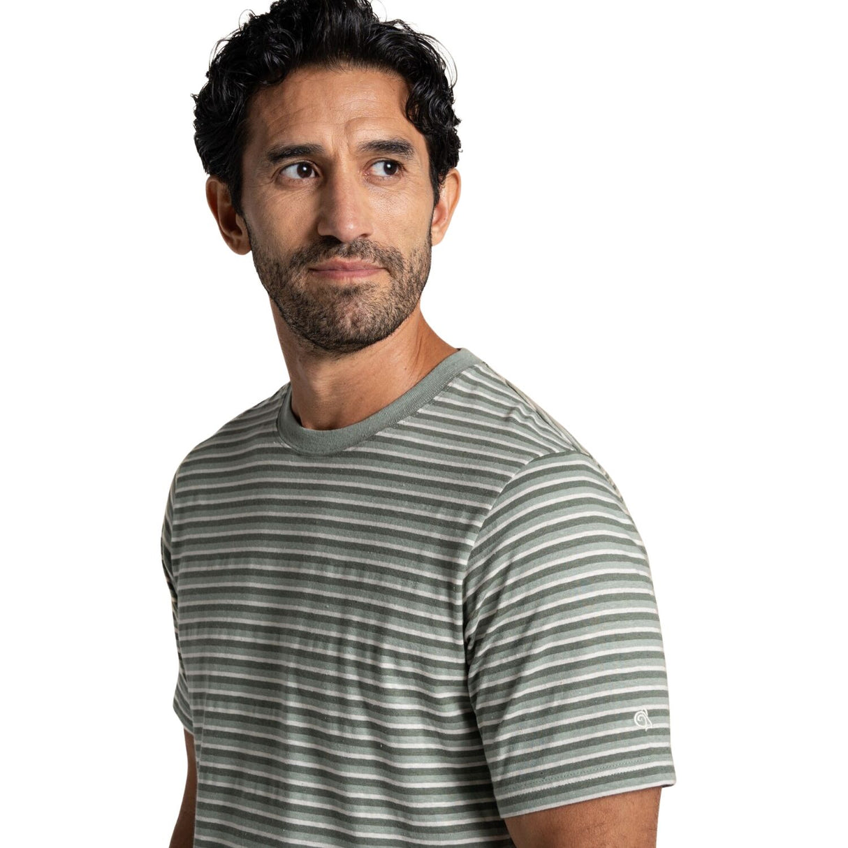 Craghoppers Mens Buffon Anti-Insect Organic Cotton Linen Blend Short Sleeve T-Shirt in Lichen Green Stripe