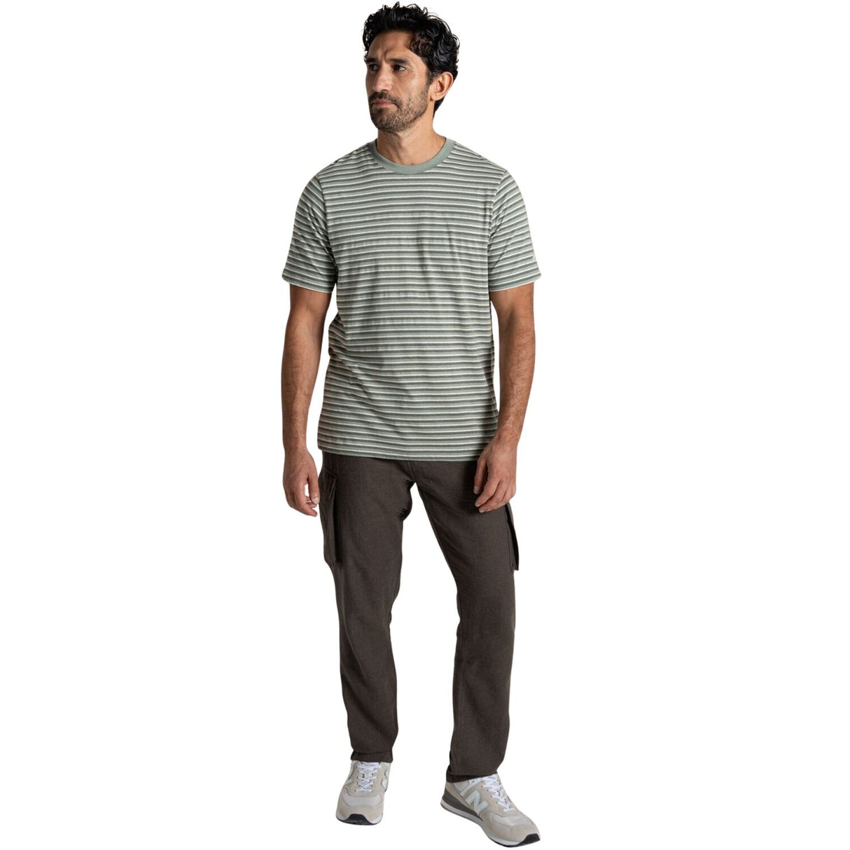 Craghoppers Mens Buffon Anti-Insect Organic Cotton Linen Blend Short Sleeve T-Shirt in Lichen Green Stripe