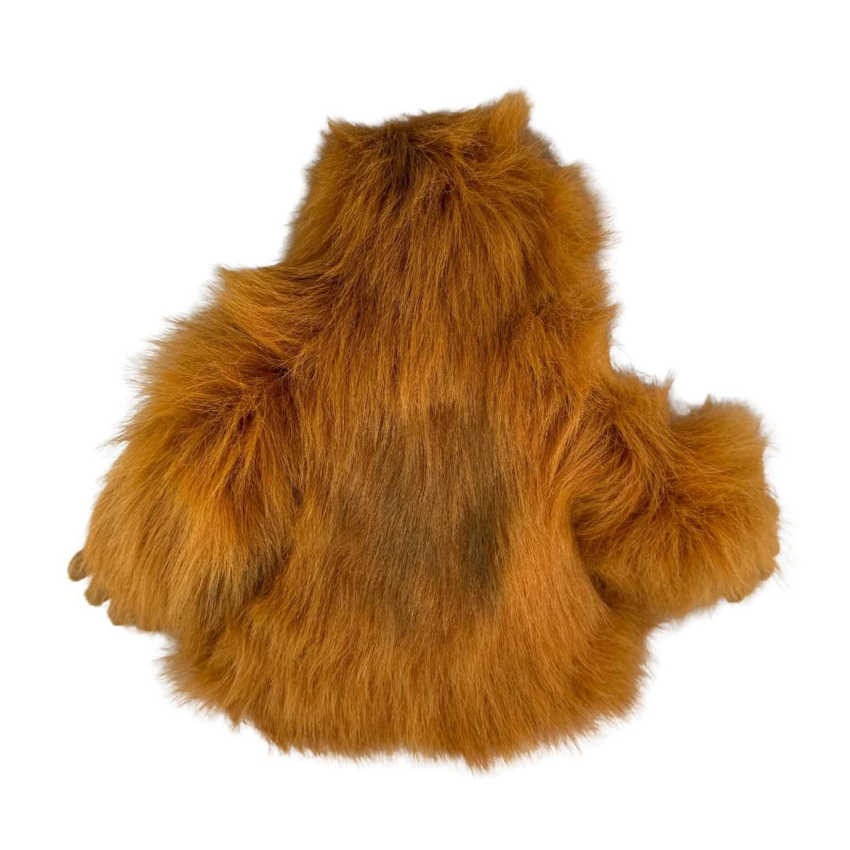 Bocchetta Cha Cha 35cm Orangutan Plush Toy (Realistic Stuffed Animal Wildlife Gift)