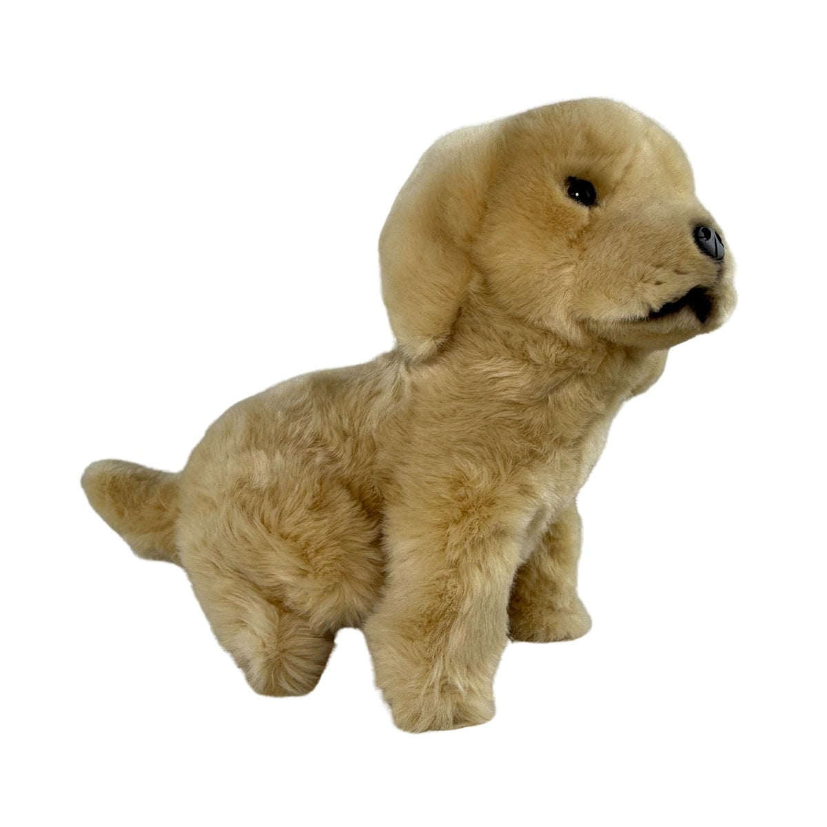 Bocchetta Chanel 26cm Sitting Golden Retriever Plush Toy (Realistic Stuffed Animal Dog Gift)