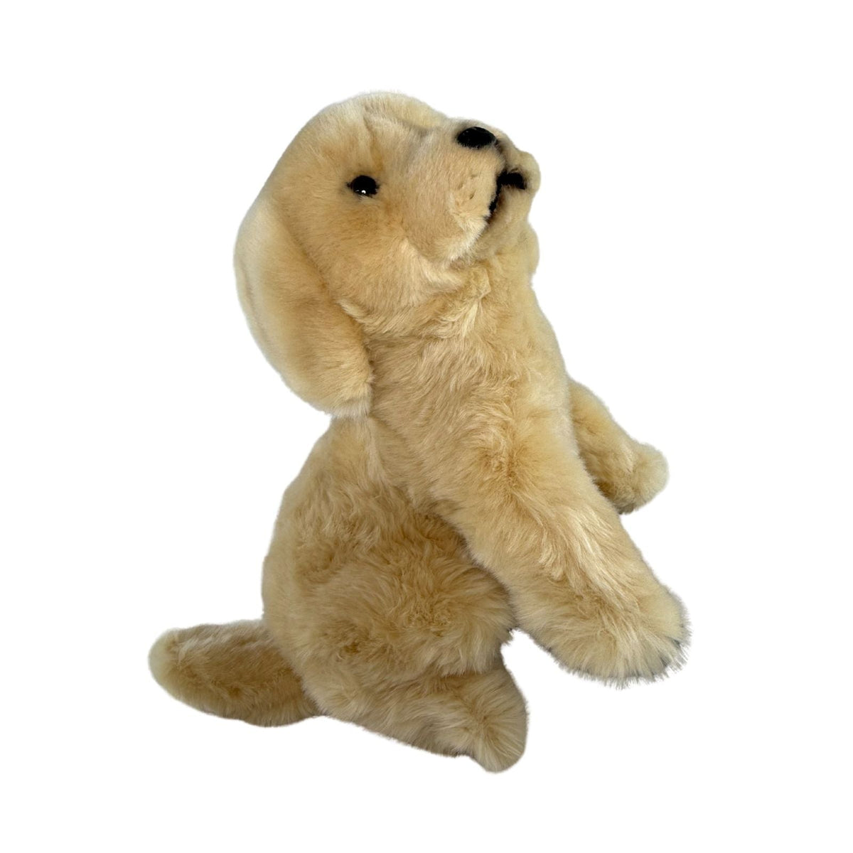 Bocchetta Chanel 26cm Sitting Golden Retriever Plush Toy (Realistic Stuffed Animal Dog Gift)