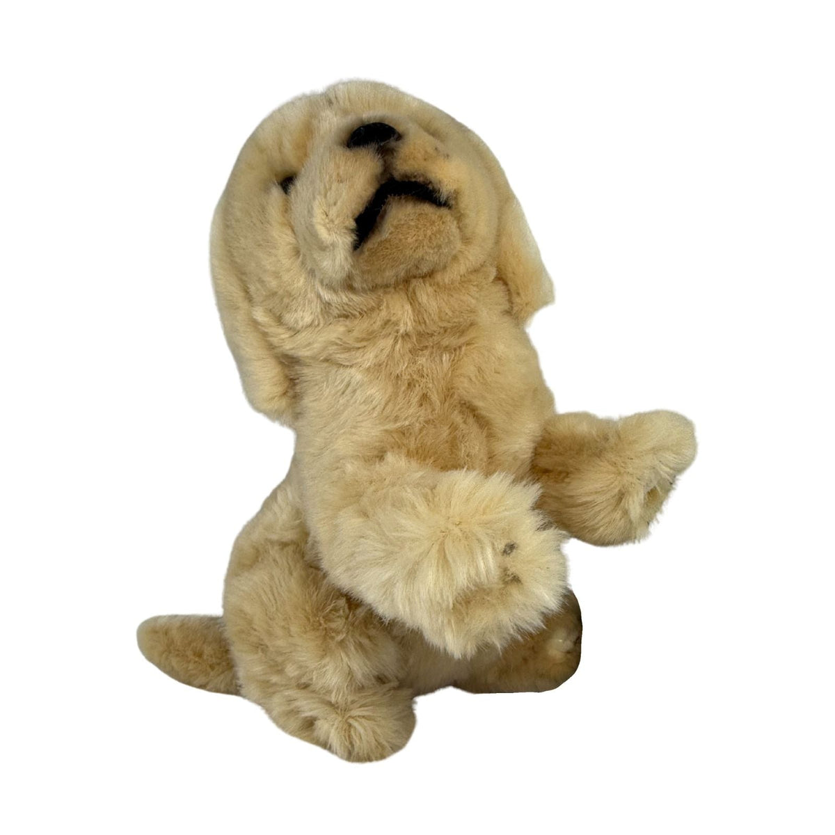 Bocchetta Chanel 26cm Sitting Golden Retriever Plush Toy (Realistic Stuffed Animal Dog Gift)